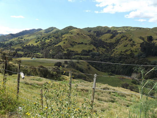 auf dem Weg nach Gisborne