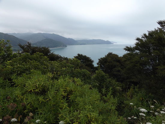 auf dem Weg zurueck nach Rotorua