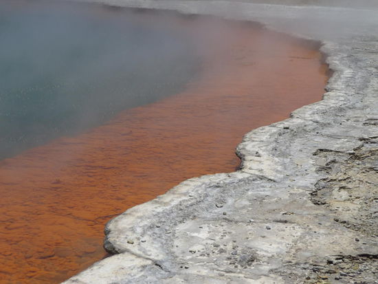 Champagne Pool