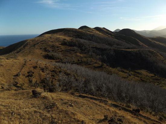Manahau Farm, links die Tora coast