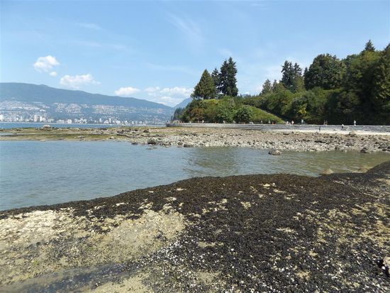 Die seawall ist immer gut besucht- links im Hintergrund ist North Vancouver