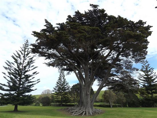 Long Bay National Park