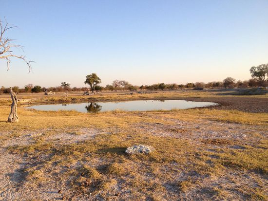 Wasserloch in wunderschöner Natur