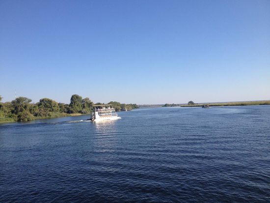 Der wunderschöne Chobe