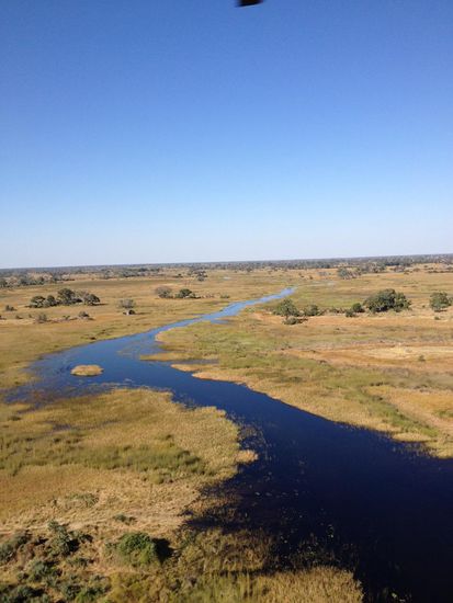 Der Okavango Fluss der dem Delta den Namen gibt