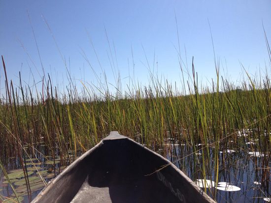 Mit dem Mokoro im Delta
