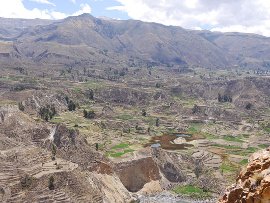 Tereassenhaenge im Colca Tal
