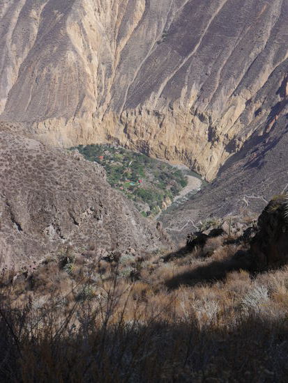 Blick auf die Oase waehrend unserer Wanderung...