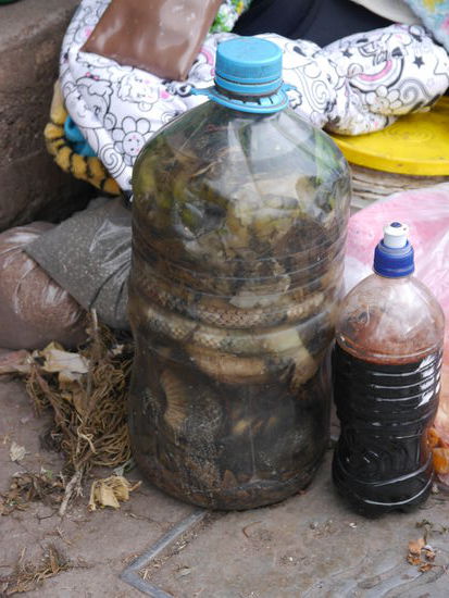 Eingelegte Schlangen und Schlangenblut?!