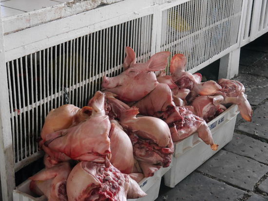 Oder lieber Schwein?! Über die hygienischen Bedingungen darf man sich hier auch keine Gedanken machen. 