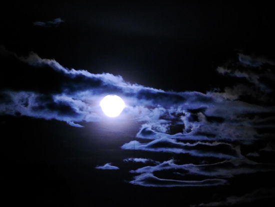 ...irgendwie unheimlich, aber auch cool... 