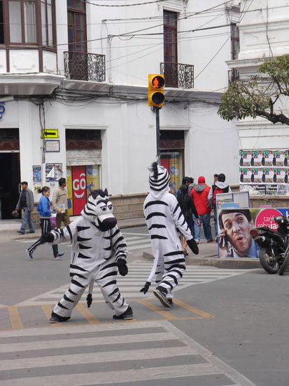 Zebras regeln den Verkehr  
Ein soziales Projekt, das benachteiligten Jugendlichen helfen soll. Die Geschichte erzählen wir euch bei Interesse zu Hause