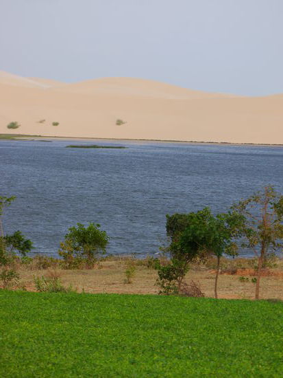 Blick auf die weiße Düne