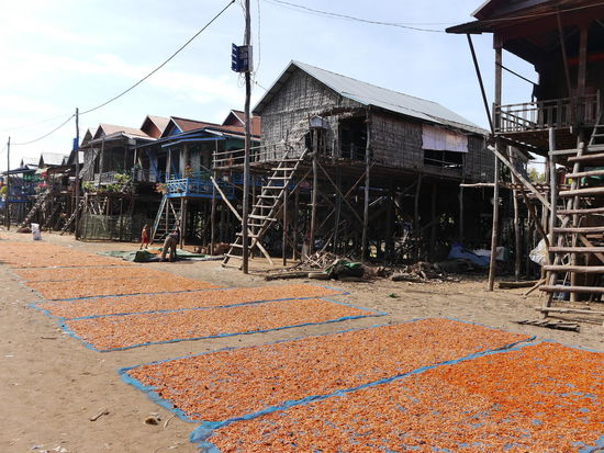 Hier werden tausende von Shrimps getrocknet - dieser Platz ist in der Regenzeit komplett unter Wasser