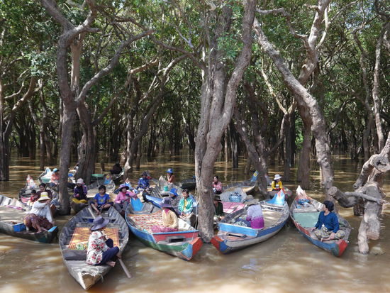 Frauen schippern Touristen durch den  überschwemmten Wald (floating forest)