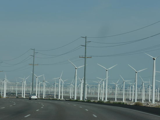 Die faulen Hausemer... 