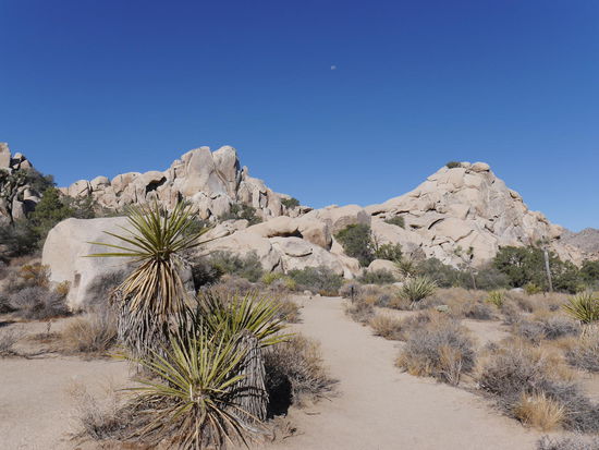 Hidden  Valley Nature Trail