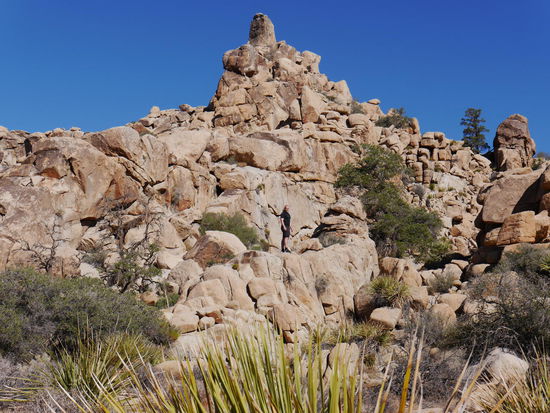 Hidden Valley Nature Trail