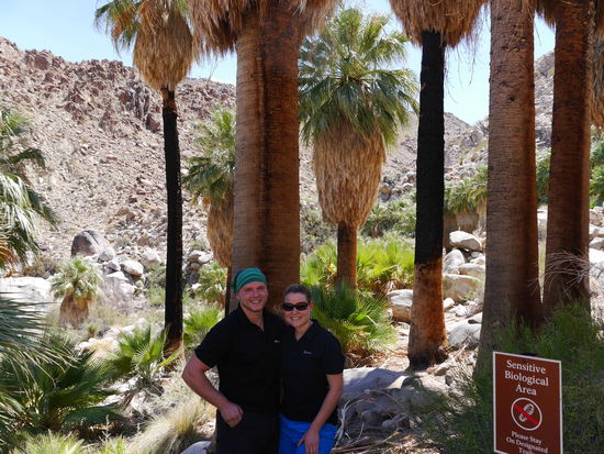 Nettes Plätzchen zum Lunch 