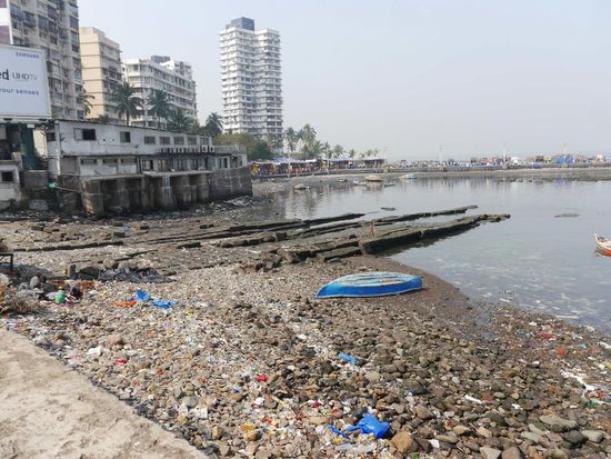 Leider liegt aber auch überall Müll - ein generelles Problem in Indien