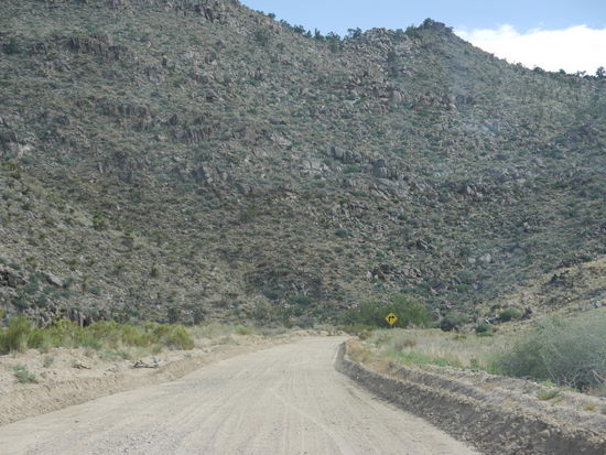 Mojave National Preserve - hier sind die Straßenverhältnisse ja noch super im Vergleich zu den folgenden Straßen - mehr zu sehen gab es allerdings nie.. 