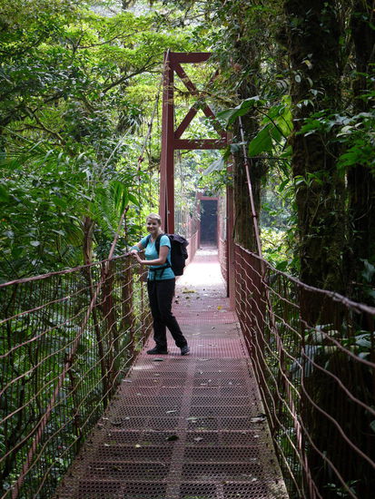 Im Nationalpark Monteverde