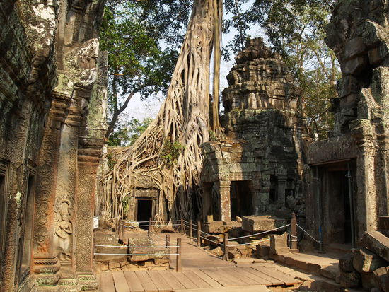 Ta Prohm
