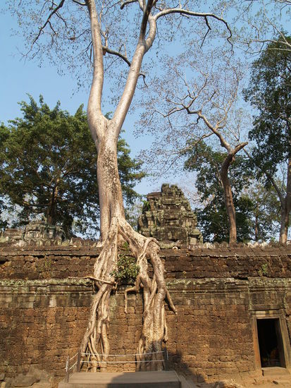 Ta Prohm