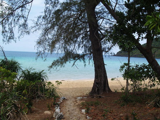 Der Weg von unserem Bungalow zum Strand...