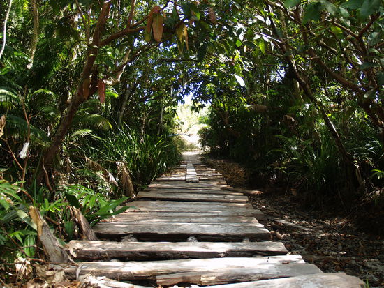 Der holprige Weg zur anderen Seite der Insel...