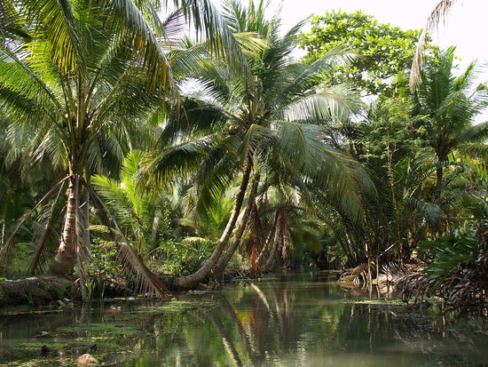 Eine kleine Bootsfahrt in einem Paddelboot haben wir auch noch gemacht...