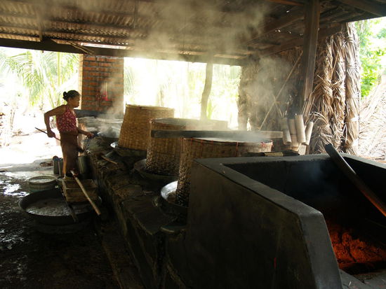 Bis hin zur Palmzuckermanufaktur...