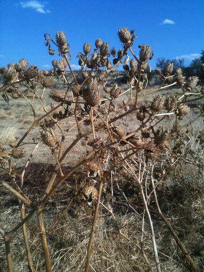 ja, es ist echt trocken hier