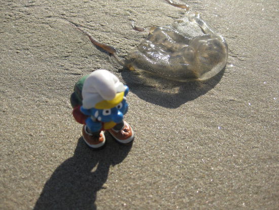 Fast wäre ich drauf getreten.