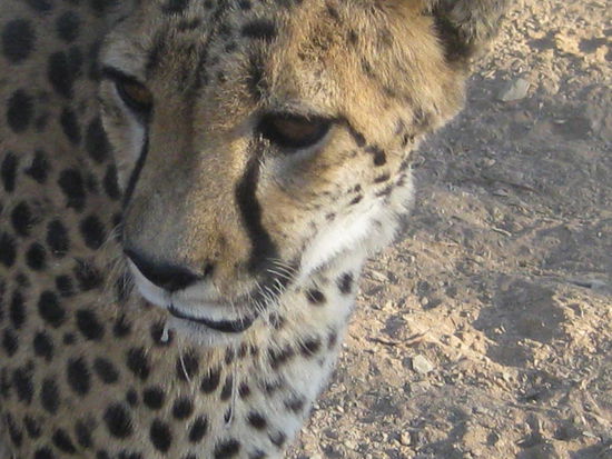 Mein absolutes Lieblingsfoto