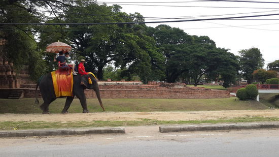 Schnappschuss auf dem fahrenden TuckTuck....   