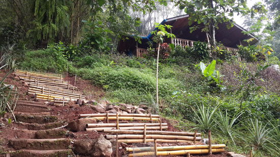 Aufgang zum Restaurant...