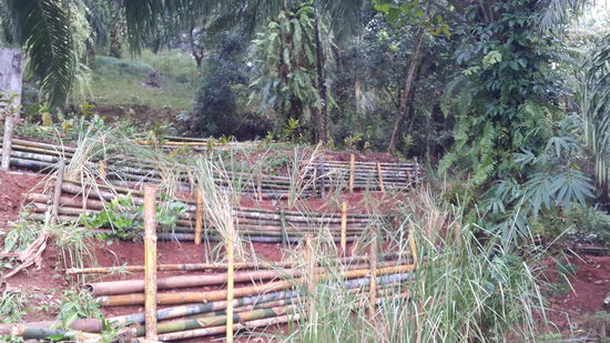 Eine Hälfte der erbauten Bambusterrasse...