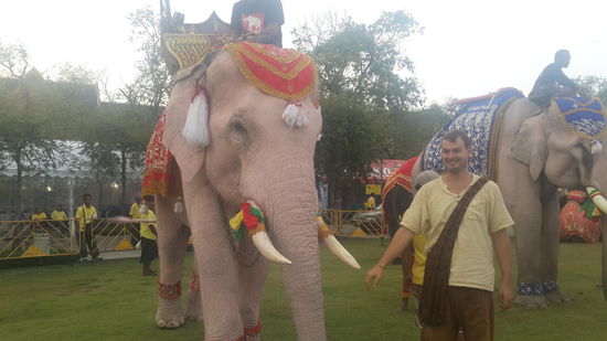 Elefanten dürfen auf so einer Party nicht fehlen...  