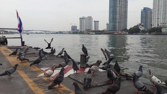 Warten auf die Fähre...