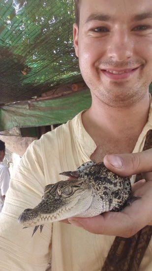 Auf einer Krokodilfram...