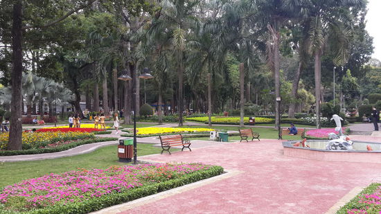 Die Parks sind in HCMC sind die schönsten meiner bisherigen Reise...  
