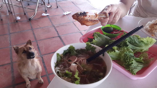 Da weiß noch jemand was gut ist!  