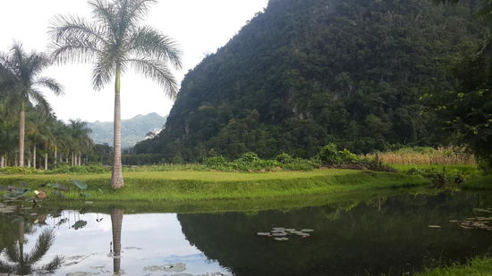 Diese Aussicht, genoss ich jeden Tag mit einer Tasse Tee...