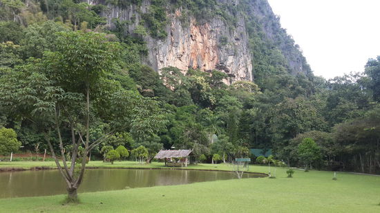 In diesem Teich befinden sich riesige Fische die jeden Tag mit dem gefüttert werden was in der Küche übrig bleibt...
Am Fuße dieses Berges wohnte ich...