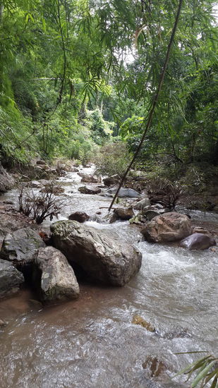 Diesen Fluss begleitete uns ungefähr 7km...  