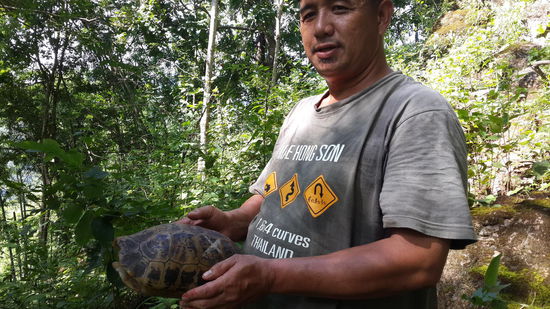 Podi unser guid bei der Rettung einer Schildkröte...  