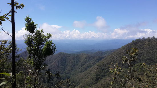 Aussicht vom Berg... 