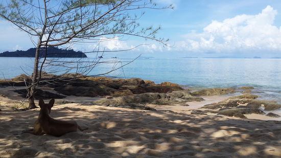 Aussicht beim blog schreiben