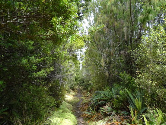 Von der Strecke sind nur noch die Bahnschweller erhalten...